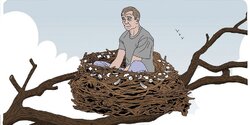 Киприоты ринулись вить гнезда, чтобы избавиться от грызунов