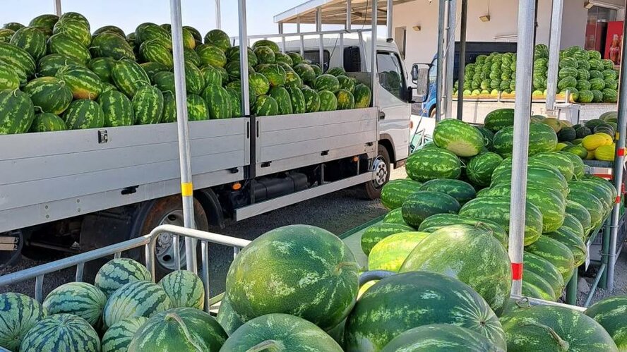 На Кипре из-за засухи подорожали арбузы На Кипре из-за засухи подорожали арбузы