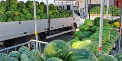 На Кипре из-за засухи подорожали арбузы