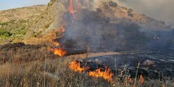 Кипр входит в число стран с рекордной площадью выгоревших в пожарах территорий