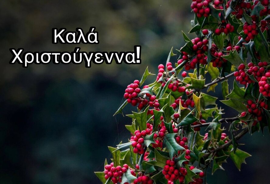 С Рождеством, дорогие читатели!