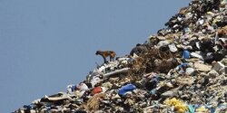 Радость от снега в Троодосе измеряется завалами мусора (видео)