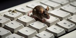 Офис министерства туризма Кипра атаковали мыши