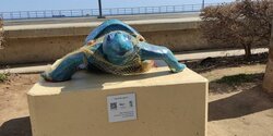 В Лимассоле установили десять скульптур черепах каретта-каретта