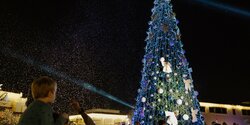 Не пропустите! 23 ноября в Limassol Marina зажгут рождественскую елку