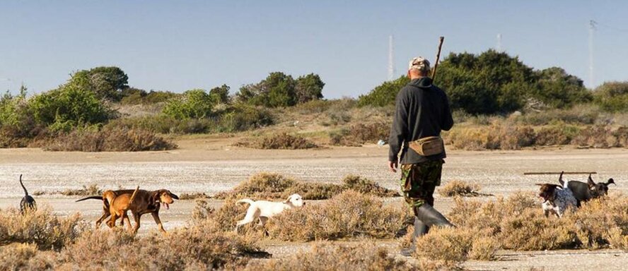 На Кипре стартует новый охотничий сезон На Кипре стартует новый охотничий сезон