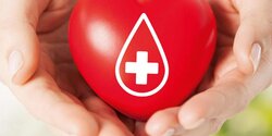 Кипр гарантирует «высшее качество и безопасность» при переливании крови
