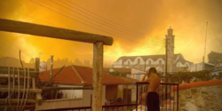 Кипр в огне: что натворил сильнейший в истории острова пожар