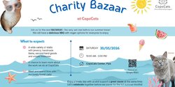 Летний базар в CopsCats