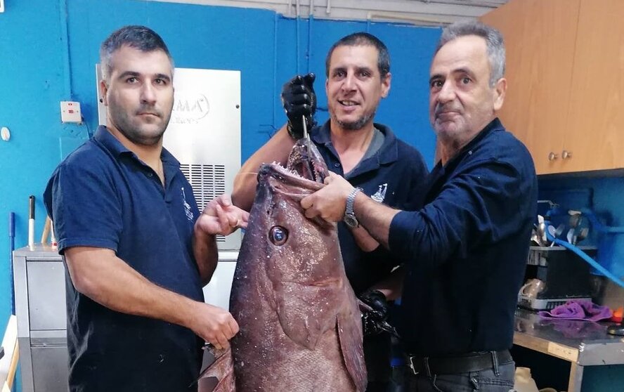 Под Пафосом выловлена 35-килограммовая рыба-гигант