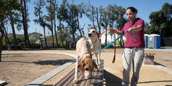 ​В Лимассоле открылся новый парк для выгула собак