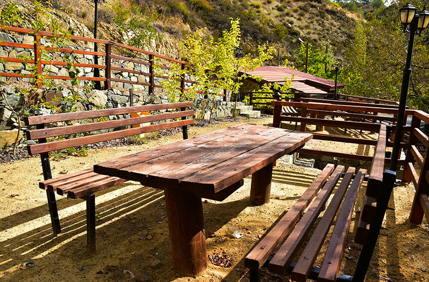 Департамент лесов Кипра рассказал о доступе к площадкам для пикников и паркам