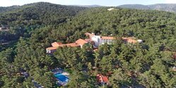 Ассоциация архитекторов Кипра обеспокоена судьбой отеля Forest Park