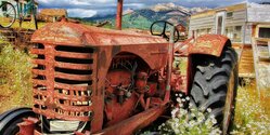 В Никосии погиб мужчина, пытавшийся остановить свой трактор