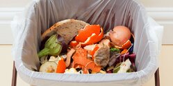 Кипр на третьем месте по производству пищевых отходов в ЕС