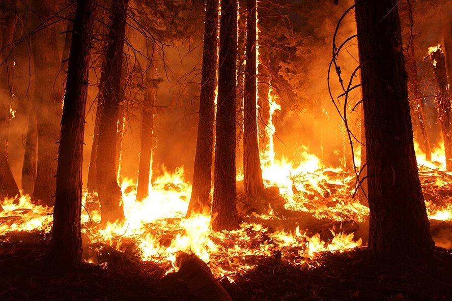 Леса вокруг Лимассола объяты пламенем (фото, видео)