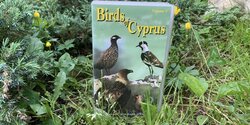 Раритетный сериал 1997 года «Птицы Кипра». Третья серия