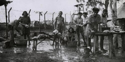 Спустя 78 лет опознали еврейского беженца, убитого в концлагере на Кипре