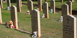 На могилах одного из кладбищ Кипра появились десятки плюшевых мишек