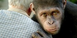 Оспа обезьян может привести к потере зрения