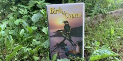 Заключительная часть сериала «Птицы Кипра» и приглашение на бердвотчинг
