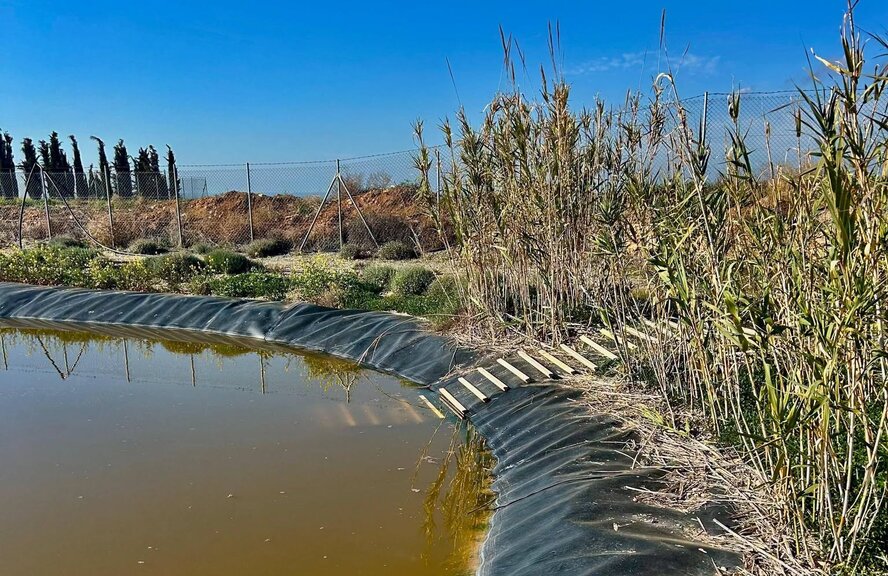 В водохранилищах Кипра установят спасательные пандусы для животных