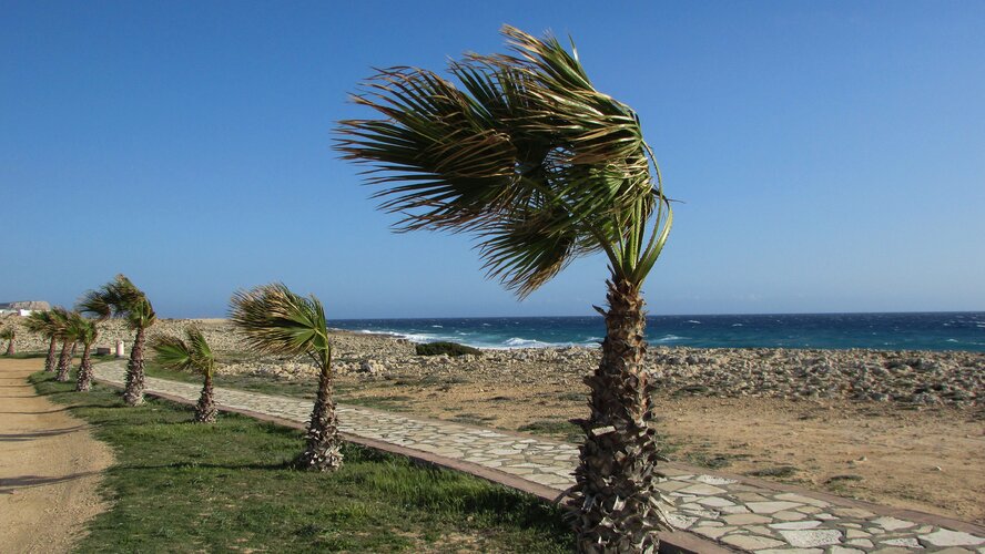 В ближайшее время на Кипре будет преобладать ветренная и пыльная погода