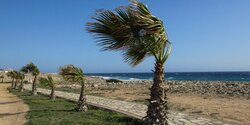 В ближайшее время на Кипре будет преобладать ветренная и пыльная погода