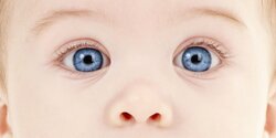 На Кипре появится цифровой прибор для визуализации глаз младенцев