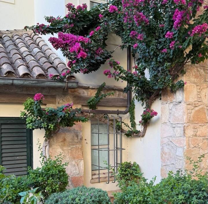 Кипр планирует возобновить авиарейсы с Москвой после завершения военного конфликта