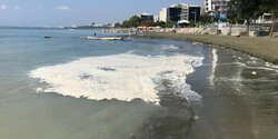 На главном лимассольском пляже сильное загрязнение моря