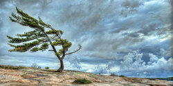 Метеослужба Кипра выпустила желтое предупреждение о сильном ветре