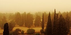 На Кипре ожидается падение температуры и пылевые бури