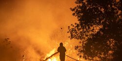 За первые пять месяцев 2025 года Лесное управление уже потушило 77 пожаров на Кипре