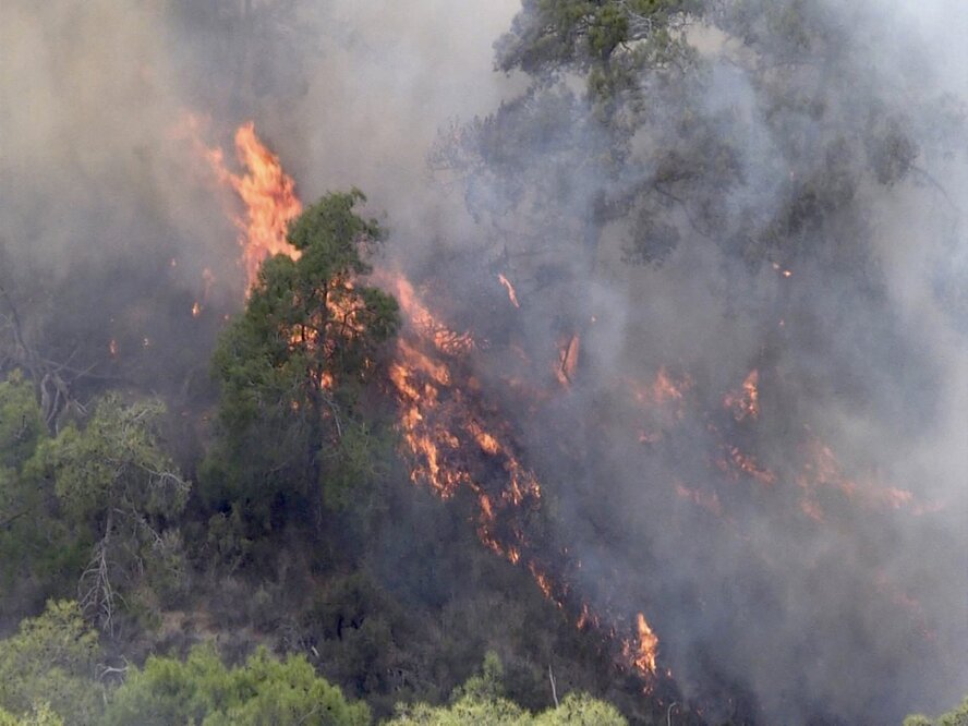 Пожар уничтожил сосны и оливковые деревья в деревне рядом с Никосией