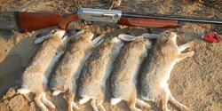 В районе Пафоса промышляют браконьеры