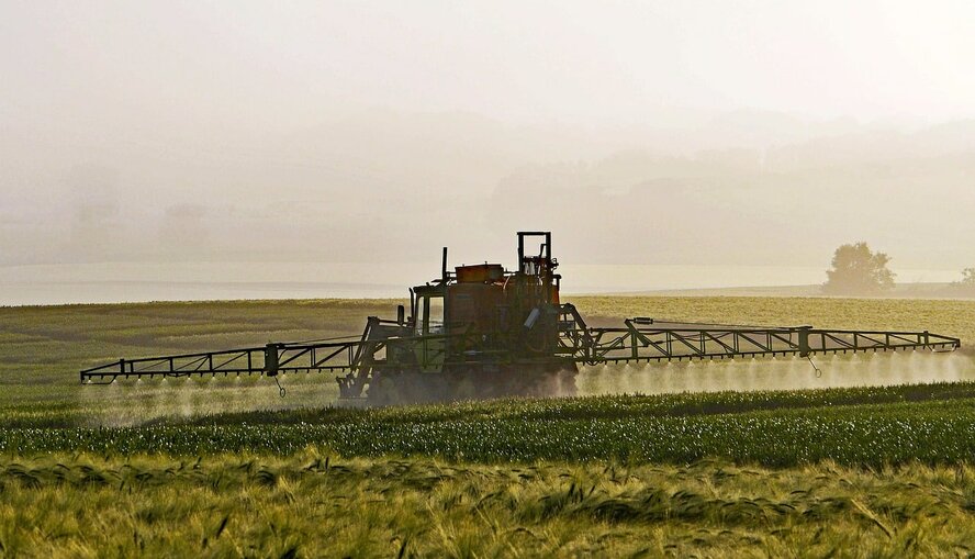 15 тысяч человек на Кипре работает в сельскохозяйственном секторе
