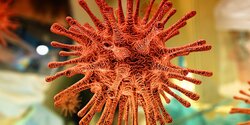Польша заявила о четвертой волне коронавируса у себя в стране