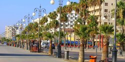 На пляже Финикудес в Ларнаке начали ежегодную обрезку пальм