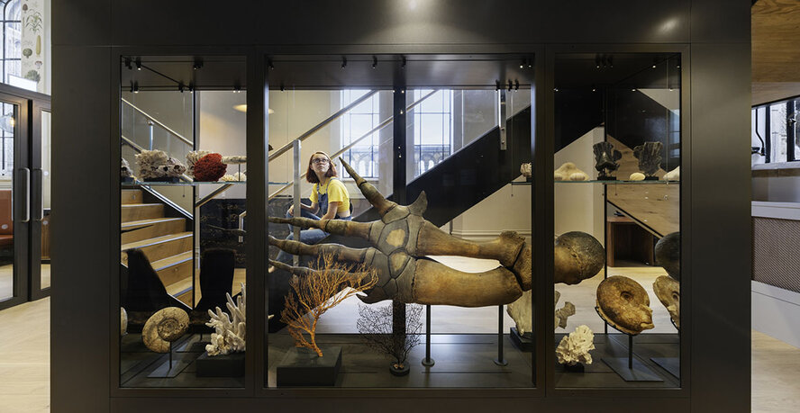 Кипр — единственная страна в Европе без национального музея природы