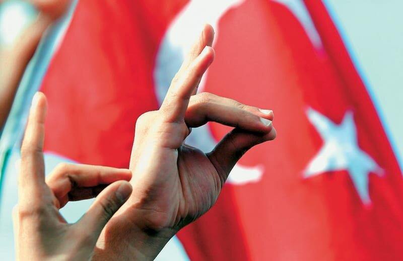 Турецкая экстремистская организация «Серые волки» и Кипр