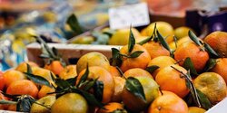 Россия уничтожила 140 тонн апельсинов с Кипра