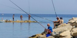 На Кипре сокращаются поставки рыбы