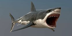 Ученые заявили, что иммунитет акулы спасет человечество от коронавируса 