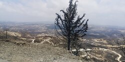 Женщина, страдающая раком 4 стадии ищет жильё после пожара, уничтожившего её дом в Лимассоле
