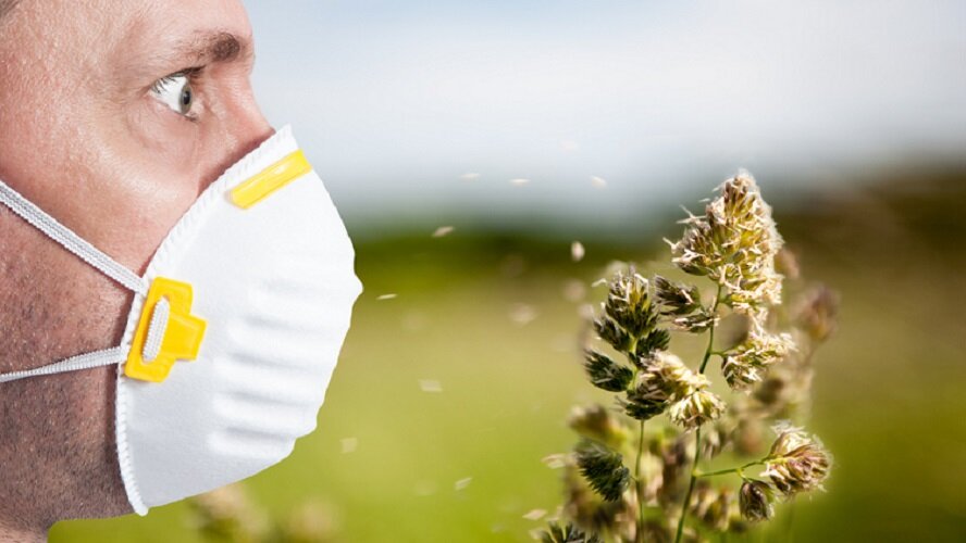 Кипрские ученые обвинили пыльцу деревьев в распространении коронавируса