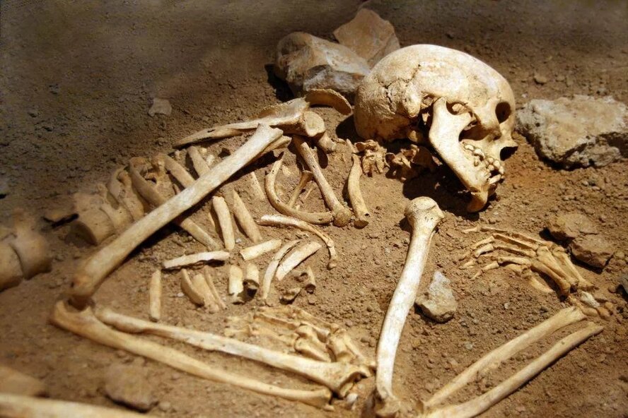 В Пафосе нашли скелет человека