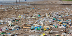 На Кипре будут продавать кроссовки из мусора, собранного на пляжах