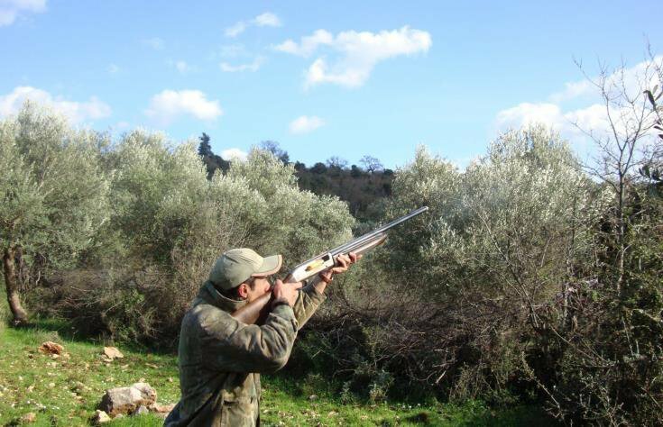 На Кипре начинается сезон охоты на вяхирей