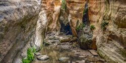 Внимание! Ущелье Авакас в Национальном лесном парке Акамас  закрыли для посещений